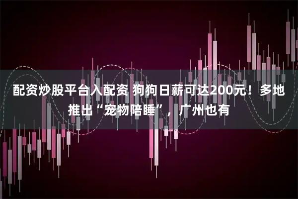 配资炒股平台入配资 狗狗日薪可达200元！多地推出“宠物陪睡”，广州也有