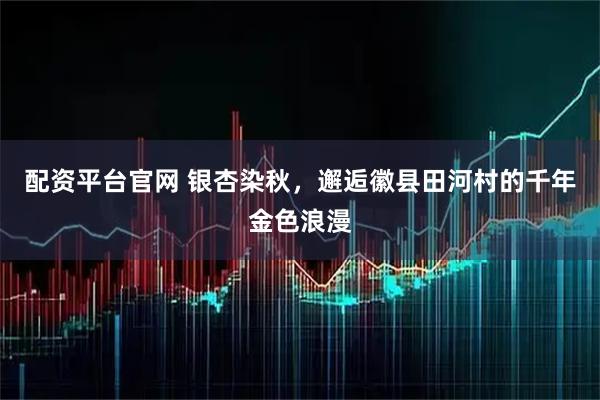配资平台官网 银杏染秋，邂逅徽县田河村的千年金色浪漫